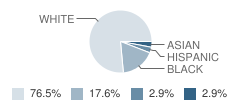 Bethel Holiness Academy Student Race Distribution