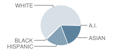 Blessed Trinity Catholic School Student Race Distribution