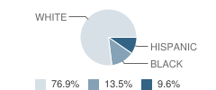 Center Academy Student Race Distribution