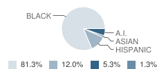 Center Academy - Riverview Student Race Distribution