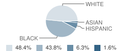 Center Academy High - Jacksonville Student Race Distribution