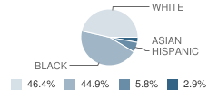 Center Academy-Westside Jacksonville Student Race Distribution