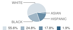 Children S Rainbow Day School Student Race Distribution