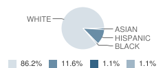 Epiphany Cathedral School Student Race Distribution