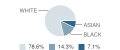 Jca - Gan Yeladim School Student Race Distribution