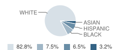 Hillsborough Baptist School Student Race Distribution