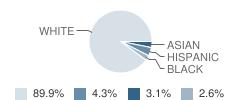 Holy Comforter Episcopal School Inc Student Race Distribution