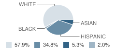 Incarnation Catholic School Student Race Distribution