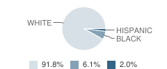 Global Impact Ministries Academy Student Race Distribution