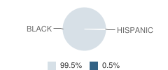 Joshua Christian Academy Student Race Distribution