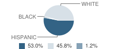 Kendall Christian School Student Race Distribution