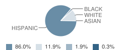 La Salle High School Student Race Distribution