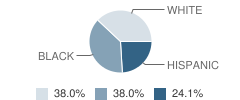 Montessori Academy of Tampa Bay Student Race Distribution