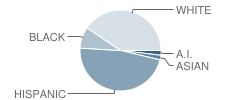 Montessori Childrens House of Miami Lake School Student Race Distribution