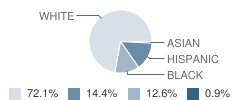 Morning Star School Student Race Distribution