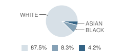 Morning Star School Student Race Distribution