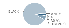 Northwest Christian Academy Student Race Distribution