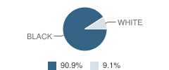 Geraldine Ransome Field Christian Academy Student Race Distribution