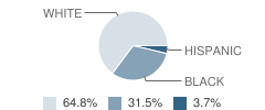 Palnez Academy Student Race Distribution