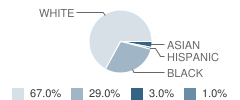 Parsons Academy Student Race Distribution