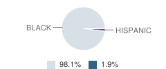 Promise Land Academy Student Race Distribution