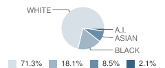 Randazzo School Student Race Distribution