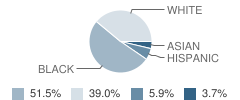 Rockledge Christian School Student Race Distribution