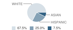 School of the Suncoast Student Race Distribution