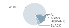 Boca Raton Preparatory School Student Race Distribution