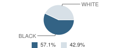 Smart Schools Inc Student Race Distribution