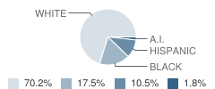 Solid Rock Christian School Student Race Distribution