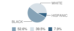 Spring Gate School Student Race Distribution