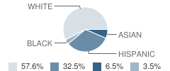 St Andrew Catholic School Student Race Distribution