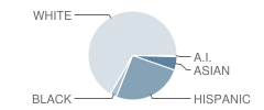 St David Catholic School Student Race Distribution