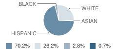 St Joseph's School Student Race Distribution