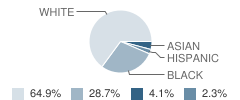 St Patrick's Catholic School Student Race Distribution