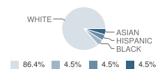 Steppin Stone Academy Student Race Distribution