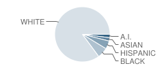 The Blake School Student Race Distribution