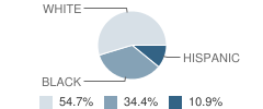 The Broach School Student Race Distribution