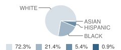 The Depaul School of Ne Florid Student Race Distribution