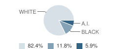 The Jericho School for Children with Autism Student Race Distribution