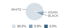 The Little Country School Inc Student Race Distribution