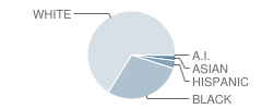 University Christian School Student Race Distribution