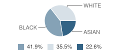 Atlanta Montessori International School Student Race Distribution