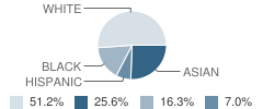 Rising Star Montessori School Student Race Distribution