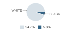 Faith Christian Academy Student Race Distribution