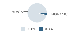 Majestic Leadership Academy Student Race Distribution