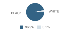 Advance Preparatory Academy Student Race Distribution