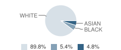 Alpharetta Methodist Christian Academy Student Race Distribution