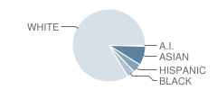 Athens Montessori School, Inc. Student Race Distribution